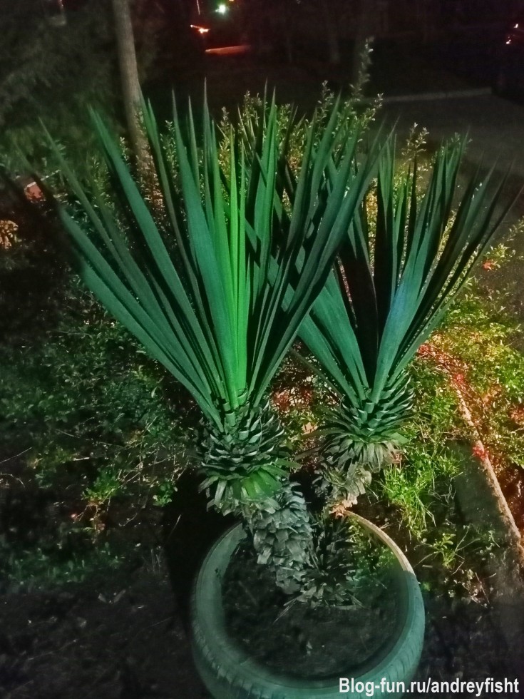 Мастер одиночества.

В клетке,метко,ломается ветка,
Хрупкое сердце скачет как белка,
Где-то Воля,да чистое поле,
Горькая доля и путь до дому.

Где-то дороги,а там-перекрёсток,
Где-то игла и рядом напёрсток,
Где-то слеза и мысли как птицы,
Где-то кому-то-освободиться...

Мастер одиночества-строчки в заточении,
Свободы очень хочется-нелепое стремление,
Волком или вороном в эти небеса,
На все четыре стороны зовут твои глаза.

Заборы,решетки,бетон,да бетон,
Затворы,осколки,да чёрствый батон,
Кто я?Кто ты?И всё зачем?
Соты,да роты-конвой насовсем...

Любит-не любит,ждёт-не дождётся,
Тонкая нить когда-то прервётся,
Но если поверить,поспорить с Судьбой,
Я точно уверен,что встречусь с тобой.

Где-то дороги,а там-перекрёсток,
Где-то игла и рядом напёрсток,
Где-то слеза и мысли как птицы,
Где-то кому-то-освободиться!