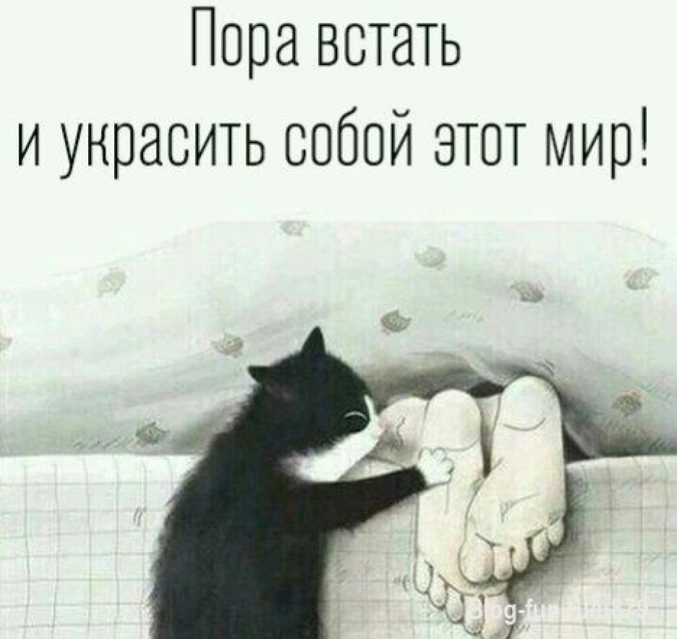 Всем доброго дня!!!